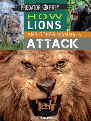 How Lions and Other Mammals Attack